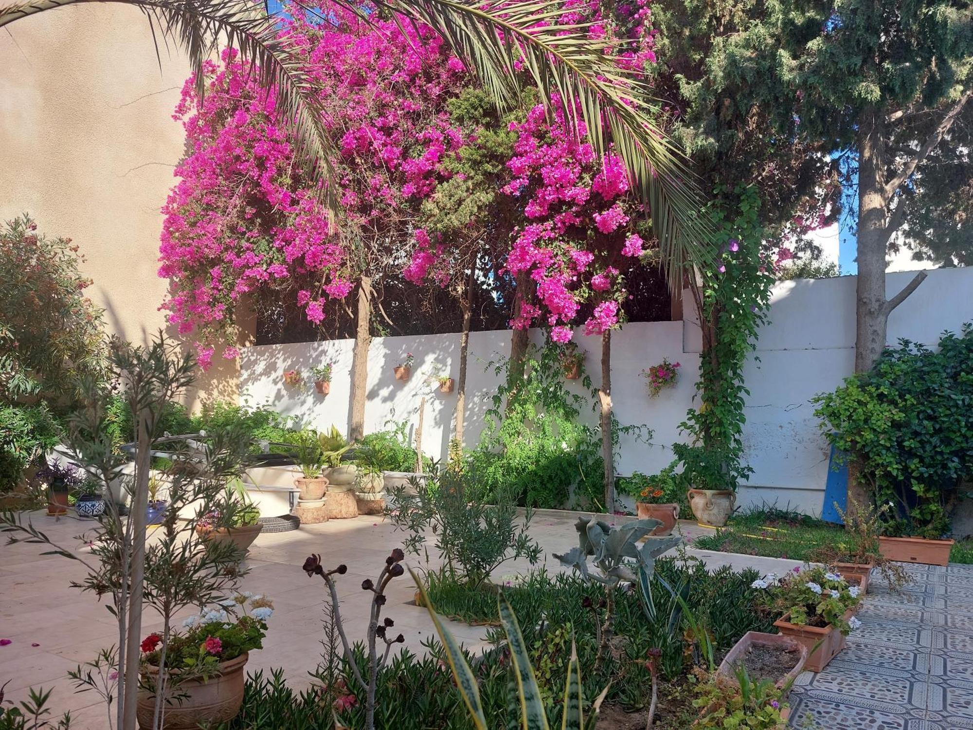 Villa Azaiiza Sousse Exteriér fotografie